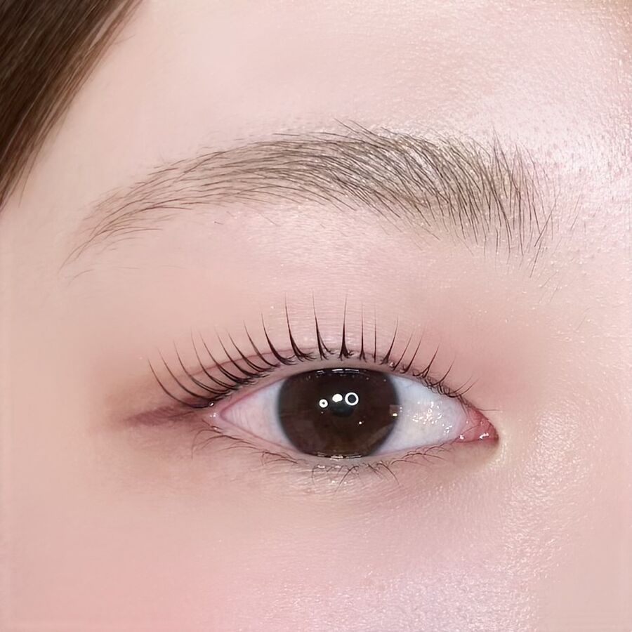 まつげと眉毛のセット
